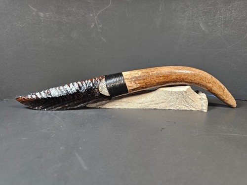 Enorme coltello denti in - da,